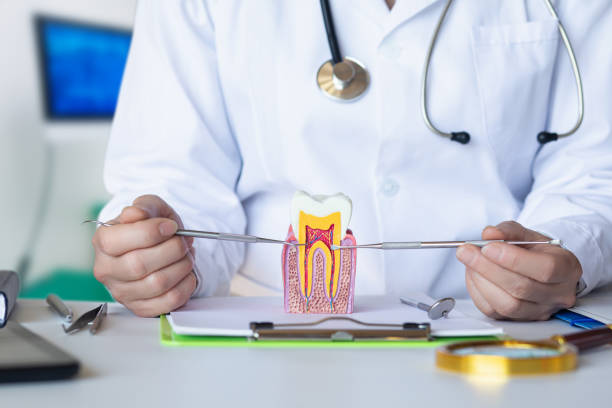 Best Emergency Dentist for Lost Fillings or Crowns in Roslyn Heights, NY